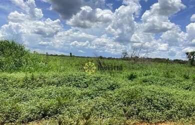 Imagem 2: Fazenda 2.420 Hectares no Vale do Araguaia - Tocantins