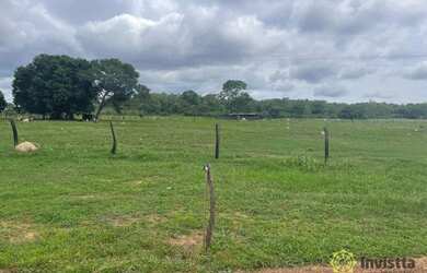 Imagem 7: Fazenda à venda, 2478 hectares por R$ 12.800.000 - Zona Rural - Itacajá/TO