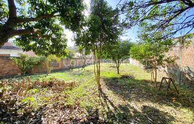 Imagem 6: Terreno amplo no bairro Rondônia em Novo Hamburgo