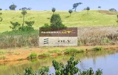 Imagem: A fazenda e está localizado em Faina, GO à venda por R$6.500.000