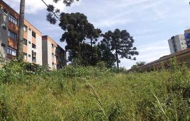Imagem 4: Terreno à venda, 1500 m² por R$ 1.500.000,00 - Novo Mundo - Curitiba/PR