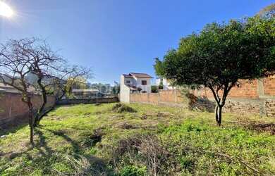 Imagem 10: Terreno amplo no bairro Rondônia em Novo Hamburgo