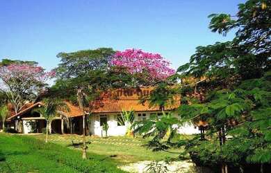 Imagem 2: Sítio com 4 dormitórios à venda, 363000 m² por R$ 7.000.000,00 - Zona Rural - Boituva/SP