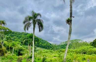 Imagem: A fazenda possui 53.000m² de Área e está localizado em Urussanga