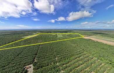 Imagem 6: Área à venda, 340000 m² por R$ 977.000,00 - Touros - Touros/RN