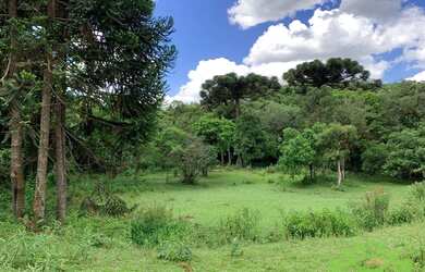 Imagem 5: Terreno à venda, 134645 m² por R$ 12.000.000,00 - Tanguá - Almirante...