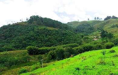 Imagem 14: Lote/Terreno para venda tem 1000 metros quadrados em São Miguel Paulista...