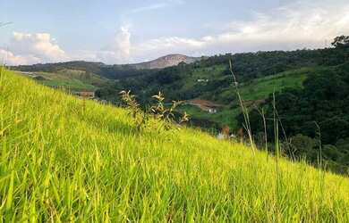 Imagem: O terreno possui 500m² de Área, Imóvel novo e está localizado