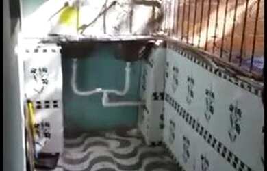 Imagem 2: Casa A Venda Em Salvador. 16m² de Área, 1 Banheiroe2 Dormitórios