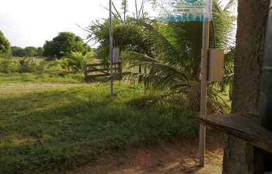 Imagem 1: Fazenda 2.180 hectares Pantanal Alto Região do Mimoso