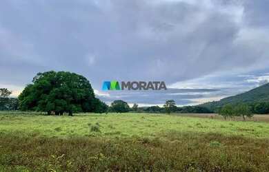 Imagem: A fazenda possui 56m² de Área e está localizado em Beltrão