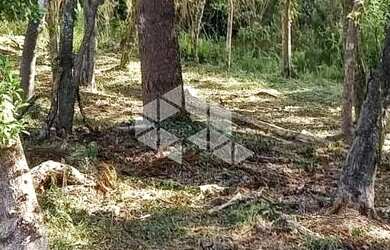 Imagem 10: Excelente terreno amplo com boa frente