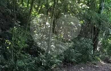 Imagem: O terreno possui 2.180m² de Área e está localizado em Roseira