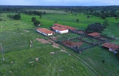 Imagem 11: Oportunidade Fazenda pecuária de 1.186 hectares com aptidão para Usina...