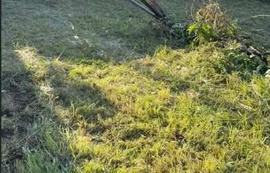 Imagem: A casa possui 2 Dormitórios, 1 Banheiro, 5 Vagas na garagem