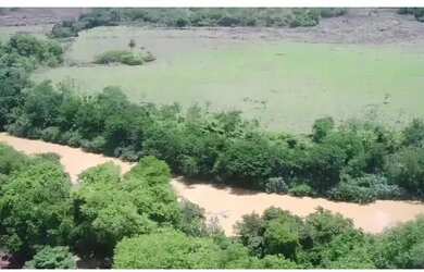 Imagem: A fazenda está localizado em Buritis, MG à venda por R$4.700.000