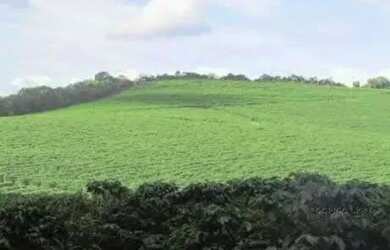 Imagem 6: Linda fazenda para venda em Bom Sucesso MG