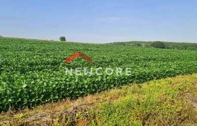 Imagem: A fazenda possui 2.000m² de Área e está localizado em Centro