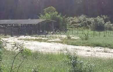 Imagem 14: Novo Cruzeiro - Fazenda - Zona Rural