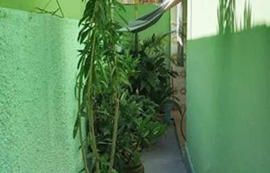 Imagem 15: Trindade/Casa 2 qts, 1 banh, 1 vaga. Condução na porta