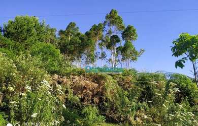 Imagem 1: Área à venda, 605000 m² por R$ 450.000,00 - Zona Rural - Itaperuçu/PR