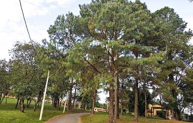 Imagem 7: Terreno à venda, 800 m² por R$ 550.000,00 - Condomínio Campos de Santo Antônio - Itu/SP