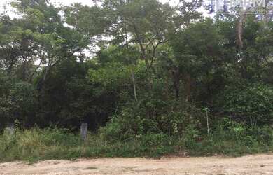 Imagem 2: Terreno à venda, 11076 m² por R$ 270.000,00 - Várzea das Moças - Niterói/RJ