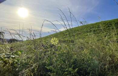 Imagem 2: Fazenda à venda, 2.463 Hectares em Aparecida do Rio Negro - TO