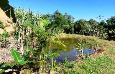 Imagem: Gandolfi C. Imóveis - Terreno com 15.000m² em Cachoeiras