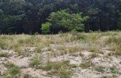 Imagem: O terreno possui 600m² de Área e está localizado em Laranjal