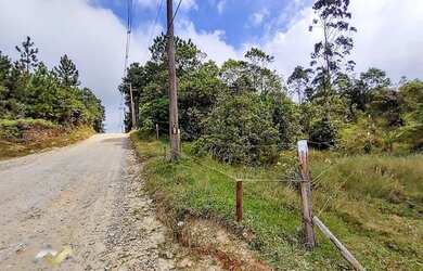 Imagem 14: Terreno à venda, 3000 m² por R$ 299.000,00 - Jardim das Garças - Santo...