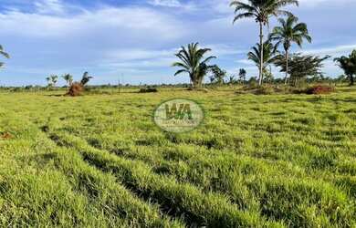 Imagem: A fazenda possui Varanda e está localizado em Santana do Araguaia