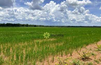Imagem 13: Fazenda 2.420 Hectares no Vale do Araguaia - Tocantins