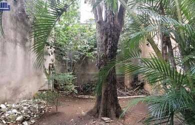 Imagem 6: Terreno à venda, 246 m² por R$ 850.000,00 - Alto da Lapa - São Paulo/SP