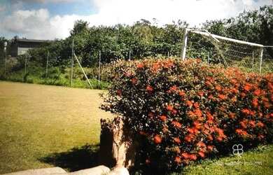 Imagem 12: Terreno à venda, 400 m² por R$ 320.000,00 - Granja Viana - Cotia/SP