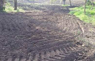 Imagem 6: Fazenda em Poconé à venda, 1060000 m² por R$ 1.600.000 - Zona Rural...