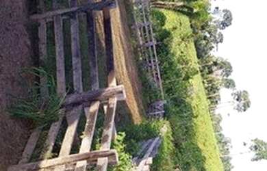 Imagem 3: Fazenda à venda, por R$ 7.264.000 - Anapu-Pará