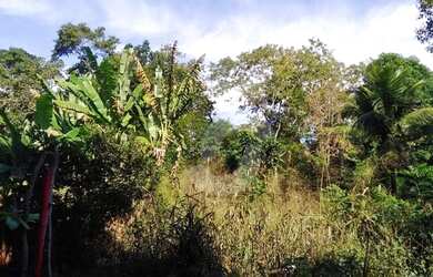 Imagem 16: Terreno à venda, 6418 m² por R$ 1.000.000,00 - Centro - Maricá/RJ