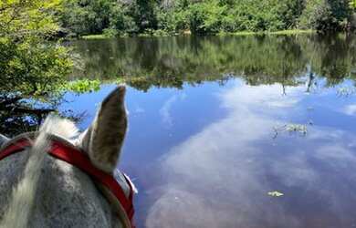 Imagem 15: Fazenda região de poconé