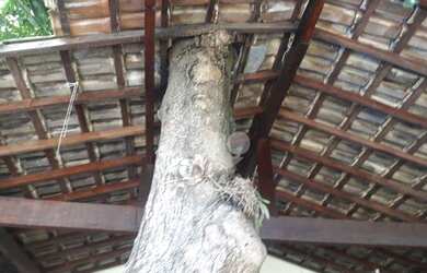 Imagem 15: Casa à venda, 109 m² por R$ 1.350.000,00 - Cachambi - Rio de Janeiro/RJ