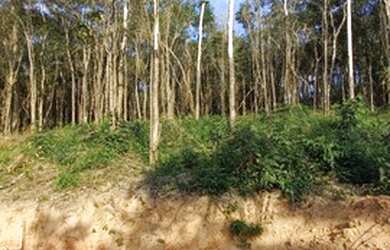 Imagem 3: 3 Super Lançamento de 500m² em Ibiúna-SP 1T3NNVD