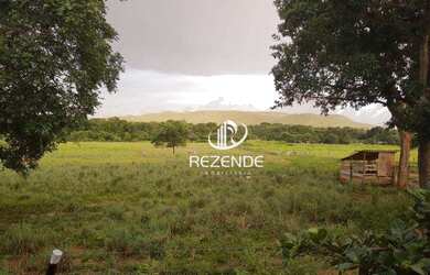 Imagem 14: Chácara com 5 Hectares Alto Padrão à venda, Taquaralto - Palmas/TO