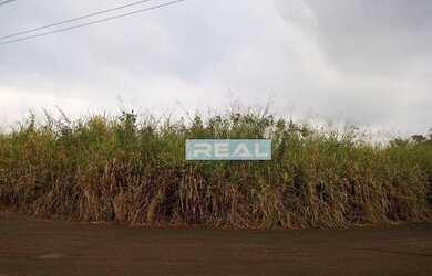 Imagem 11: Terreno à venda, 72913 m² por R$ 11.500.000,00 - Betel - Paulínia/SP