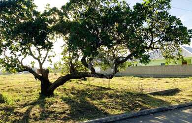 Imagem 4: Terreno à venda, 400 m² por R$ 140.000,00 - Botafogo - São Pedro da...