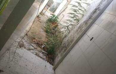 Imagem 15: Casa com 3 dormitórios - venda por R$ 350.000,00 ou aluguel por R$ 1.100,00/mês...