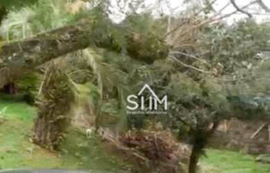 Imagem 8: Terreno à venda, 750 m² por R$ 780.000 - João Paulo - Florianópolis/SC