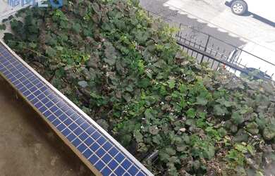 Imagem 14: Casa à venda, 171 m² por R$ 420.000,00 - Jardim Iporanga - Guarulhos/SP