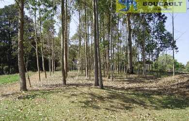 Imagem 13: Sítio com 4 dormitórios à venda, 41961 m² por R$ 4.000.000,00 - Caucaia...