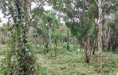 Imagem 2: 3 Super Lançamento de 500m² em Ibiúna-SP 1T3NNVD