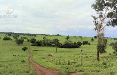 Imagem: A fazenda possui 18.246.800m² de Área, Churrasqueira e está